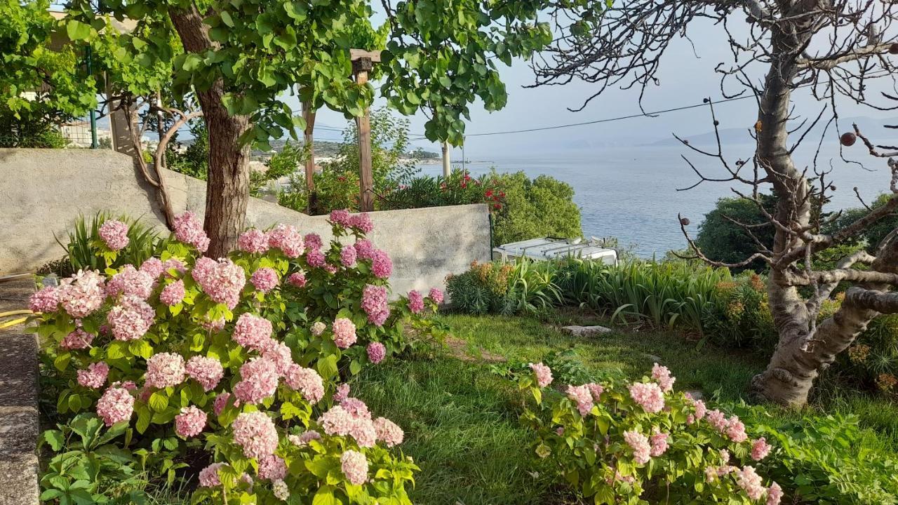 Apartments Mare Croatia Сен Екстериор снимка